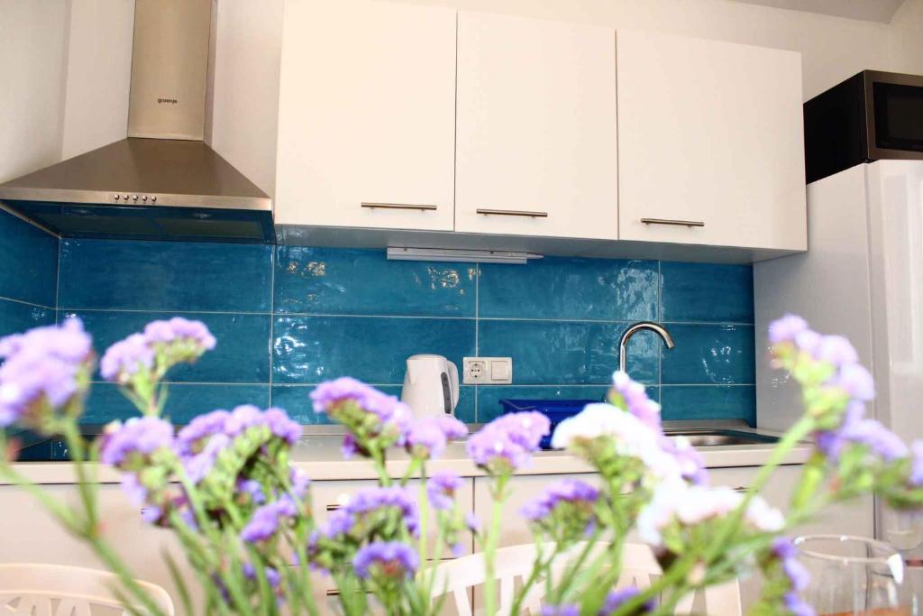 Kuchyň nebo kuchyňský kout v ubytování Apartment Veli Rat/Insel Dugi Otok 37002