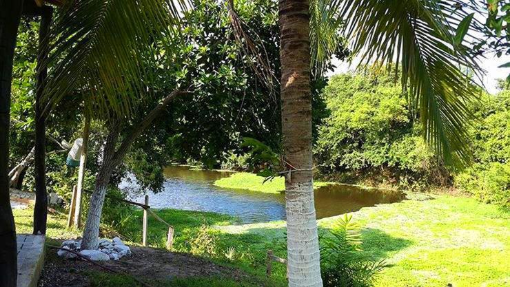  Sítio Rancho Tôa Tôa