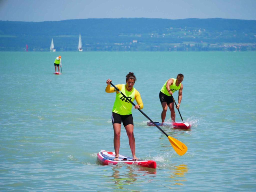 Hostia v ubytovaní Apartment in Balatonlelle 36821