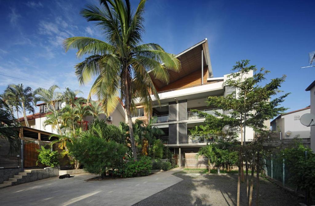 a palm tree in front of a building at 100 rue Suffren in Saint-Pierre