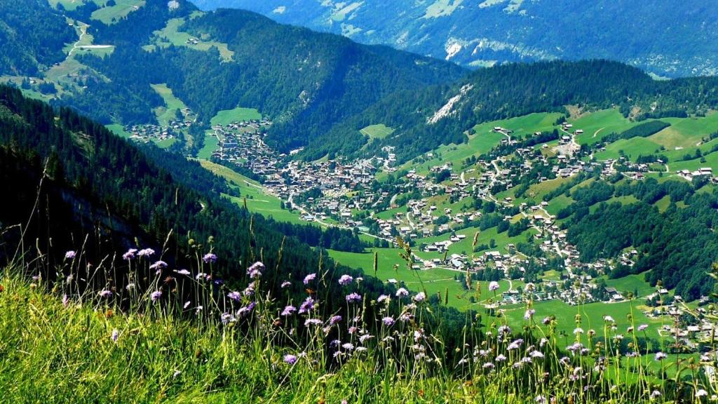 a green hillside with a town in a valley at Résidence - Les Grandes Alpes in La Clusaz
