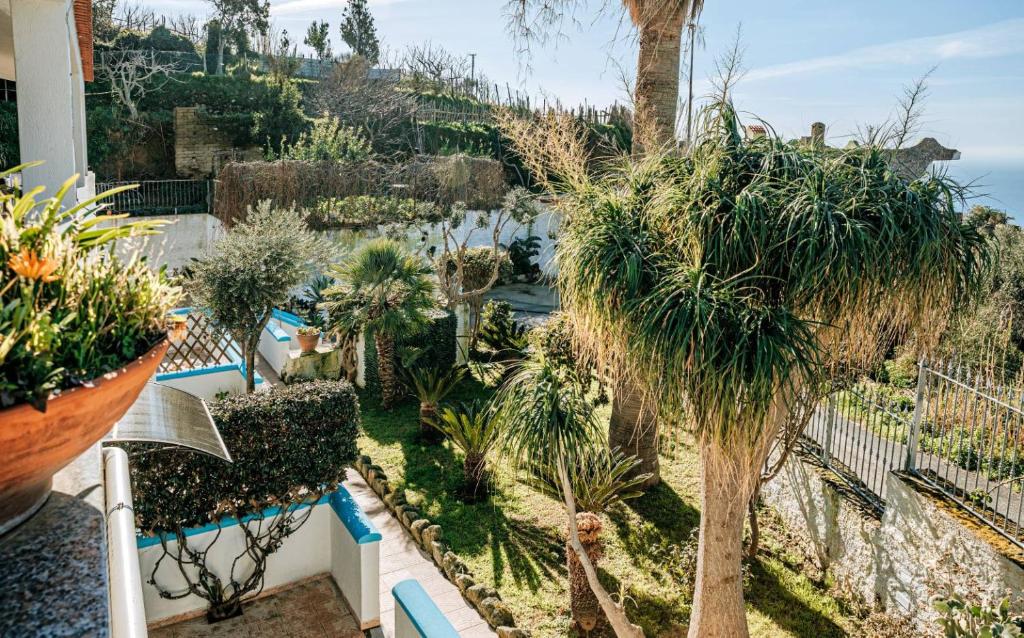A garden outside Appartamenti Ischia Casa Don Peppe