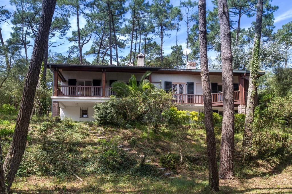 une maison dans les bois avec des arbres dans l'établissement Villa Le Menez Avec Vue Sur Le Lac Marin Pour 10 Personnes, à Hossegor