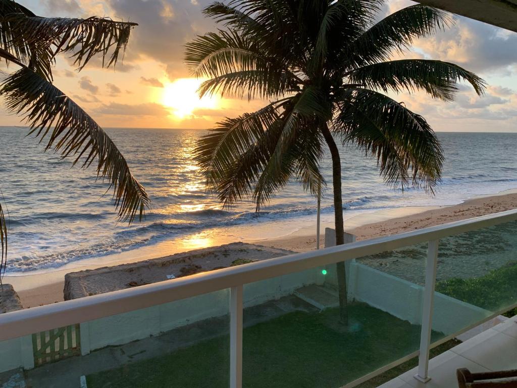 uma vista para a praia a partir de uma varanda com uma palmeira em Casa de Praia Pitimbu em Pitimbu