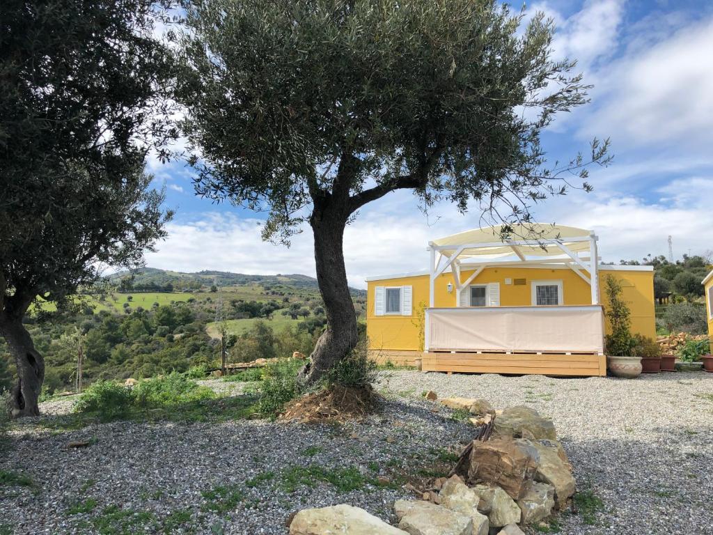 Una casa amarilla con un árbol delante. en Bungalows by B&B Villa Sveva, en Rocca Imperiale