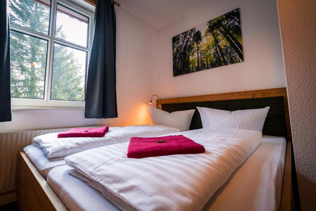 Berghotel Bärenstein - Tweepersoonskamer