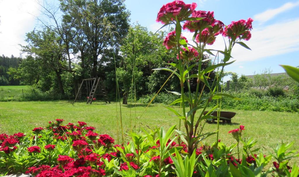 A garden outside Böhmerwald Pur2