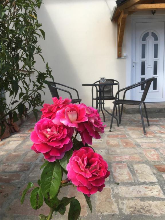 Patio nebo venkovní prostory v ubytování Jókai Vendégház Homokkomárom