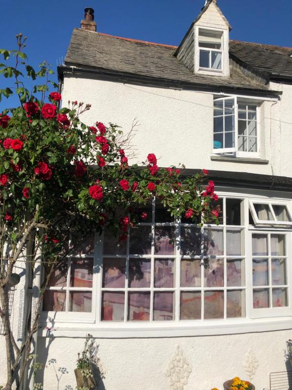 a white house with red roses in a window at Fishermens cottage with secret garden in Port Isaac