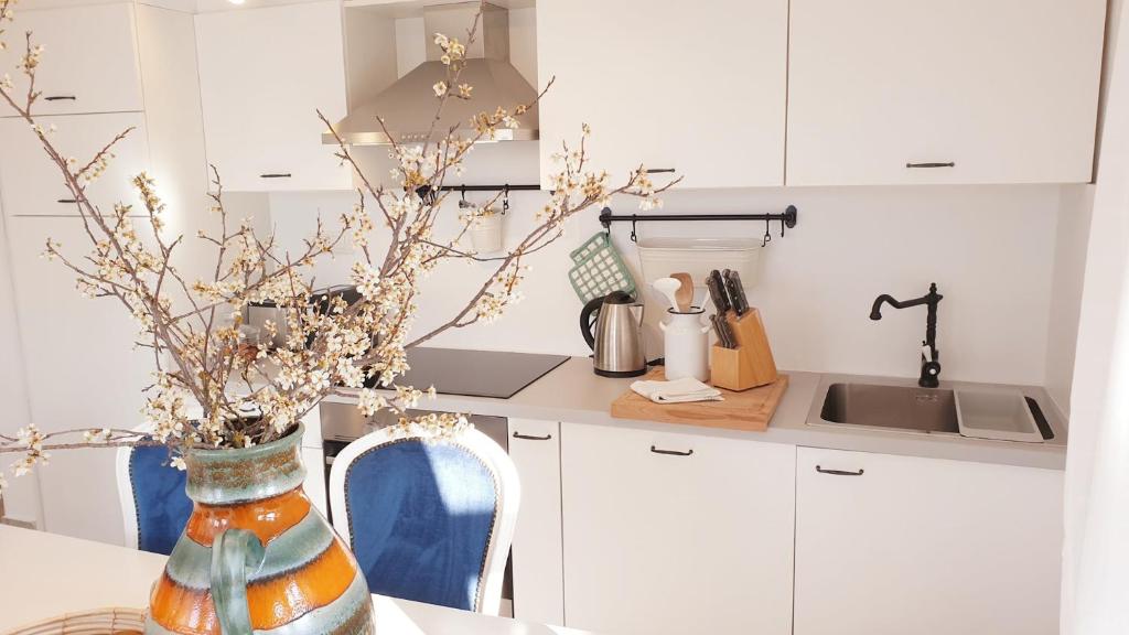 Kuchyň nebo kuchyňský kout v ubytování Ferienhaus Rovinj mit Pool