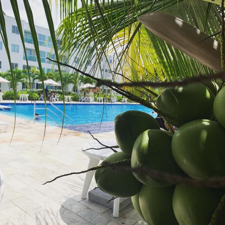  Flat Palm Village Acqua 404