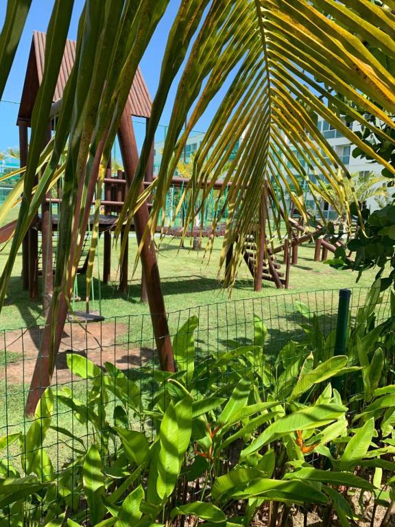  Flat Palm Village Acqua 404