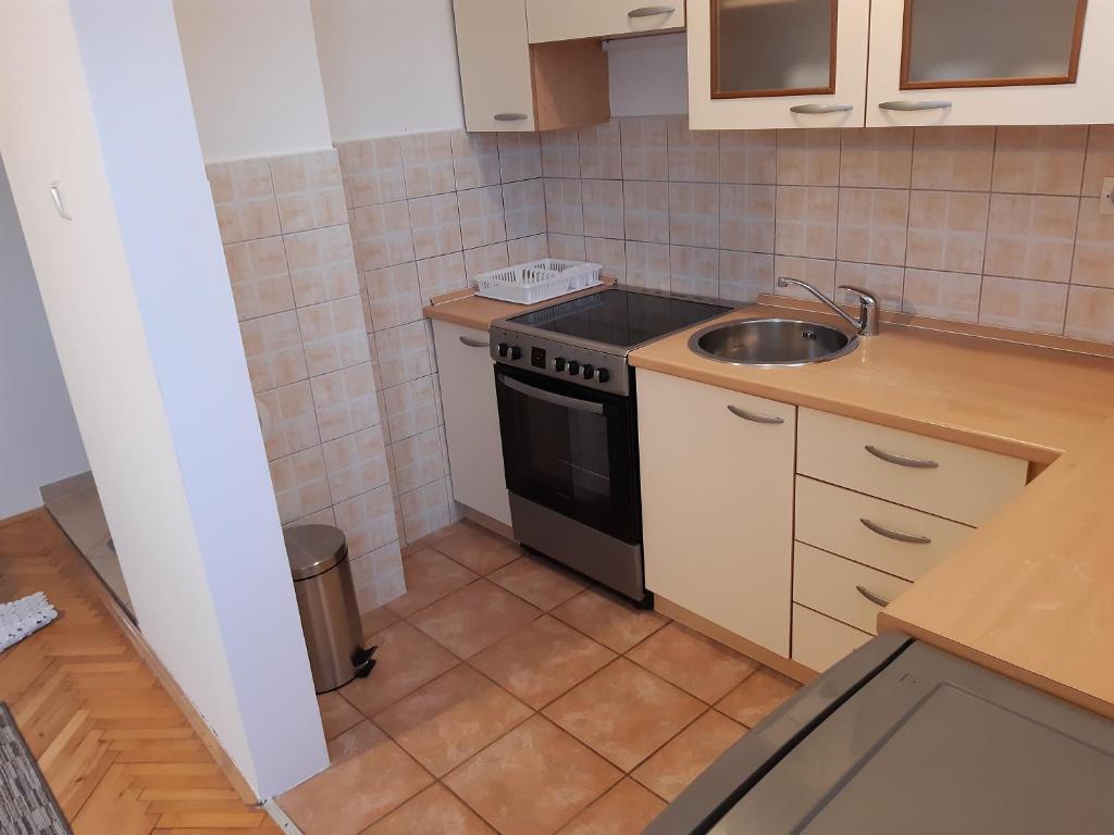 Kuchyň nebo kuchyňský kout v ubytování Apartman Helena