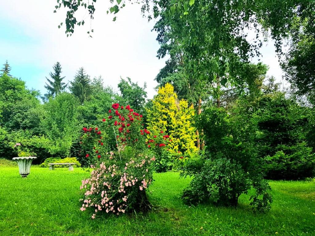 Zahrada ubytování Hotel Admiral