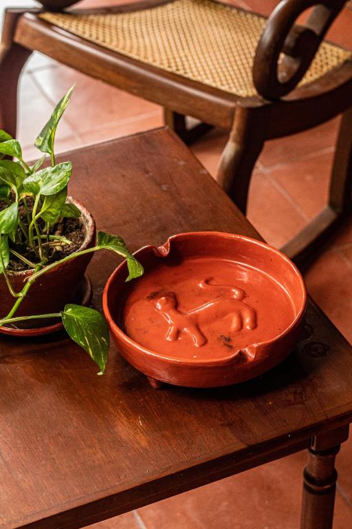 Fotografie z fotogalerie ubytování Casa del Balam Merida v destinaci Mérida