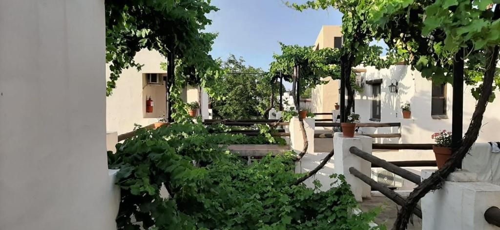 a garden with trees and a fence and buildings at cabañas Yamasu Huasi in Cafayate