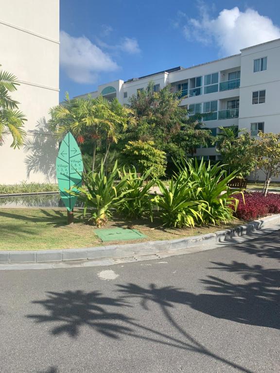  Flat Palm Village Acqua 404