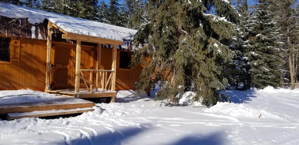 drewniany domek na śniegu z drzewem w obiekcie Lonesome Dove Ranch w mieście Kalispell