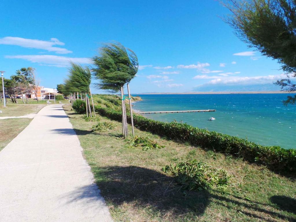 Príroda v okolí apartmánu