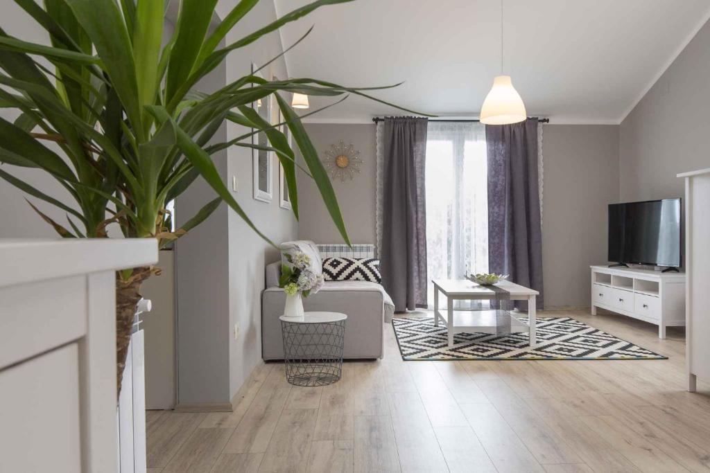 salon z kanapą i telewizorem w obiekcie Holiday home in Becici 35609 w mieście VeliGolji