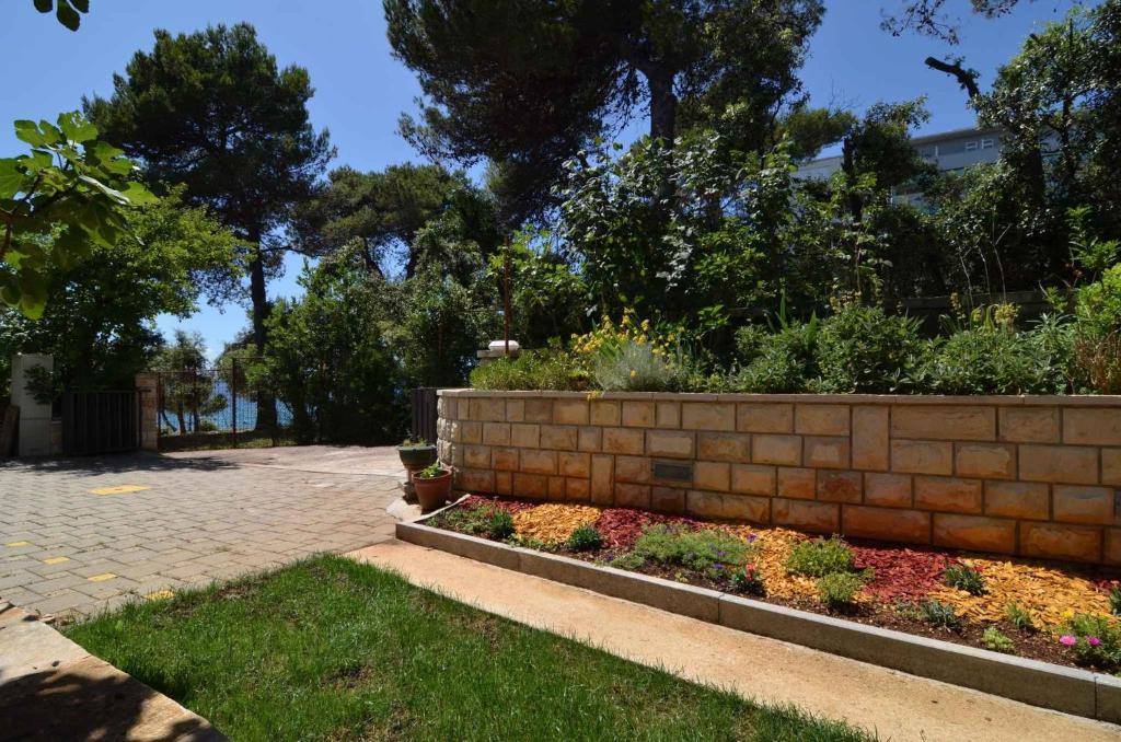 Vonkajšia záhrada v ubytovaní Apartment in Petrcane/Zadar Riviera 7907