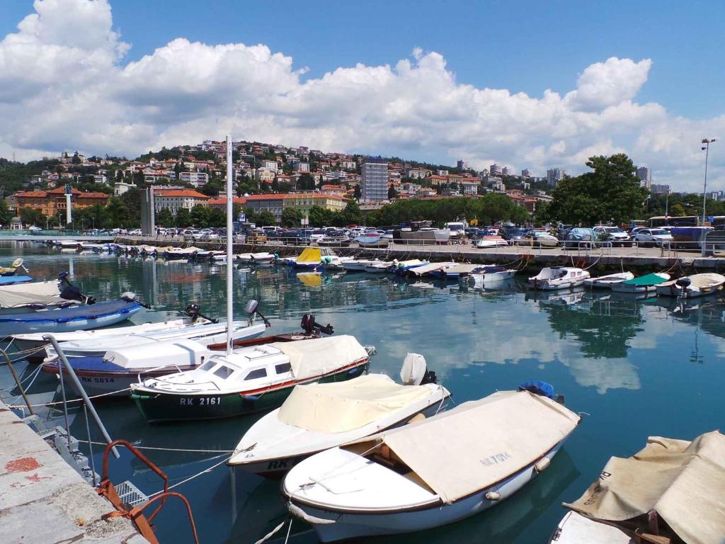 a bunch of boats are docked in a harbor at Studio in Rijeka 34867 in Rijeka