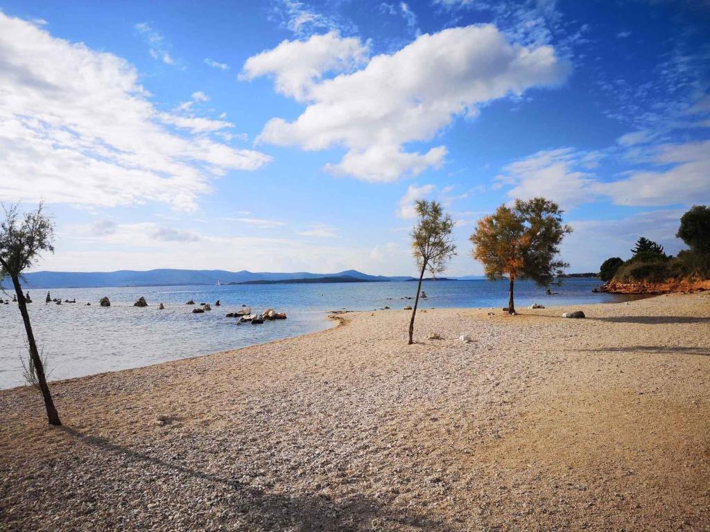Fotografie z fotogalerie ubytování Apartment in Biograd na Moru 35667 v destinaci Biograd na Moru
