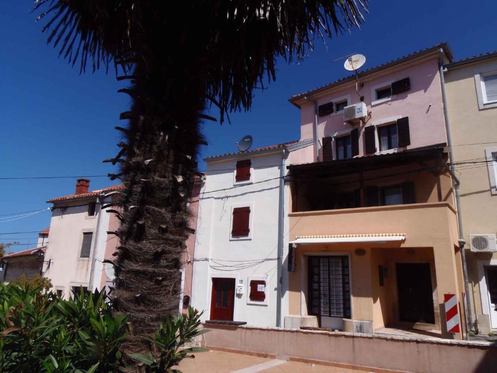 a building with a palm tree in front of it at Holiday home in Medulin/Istrien 27402 in Medulin