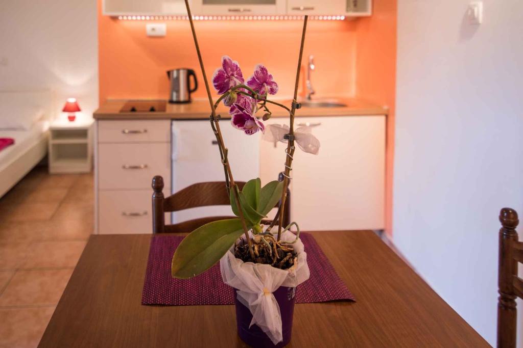 Fotografie z fotogalerie ubytování Apartments in Krk/Insel Krk 26807 v destinaci Krk