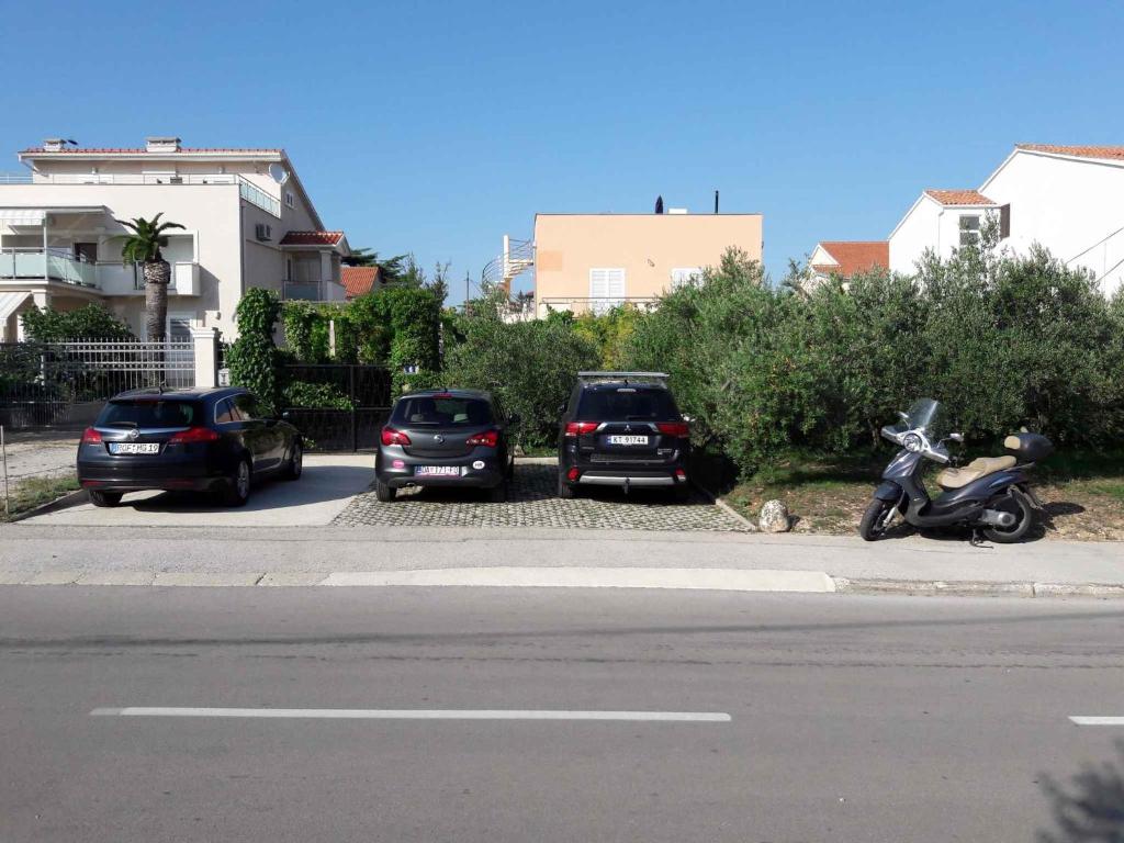 Apartments in Zadar - Zadar Riviera 17889