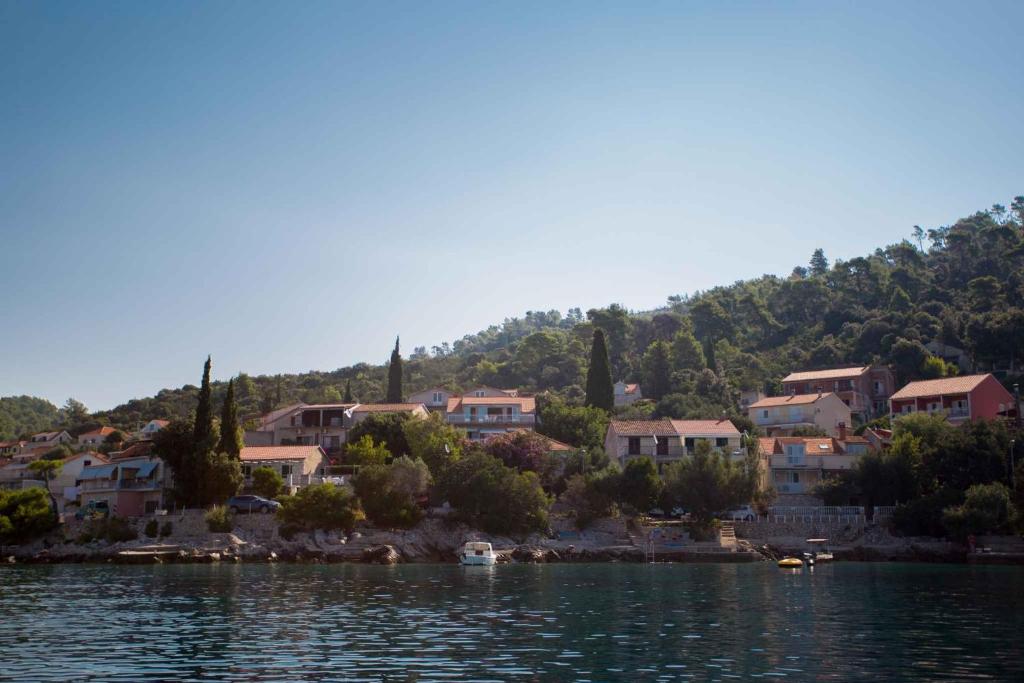 Fotografia z galérie ubytovania Brna, otok Korcula Two-Bedroom Apartment 1 v destinácii Brna
