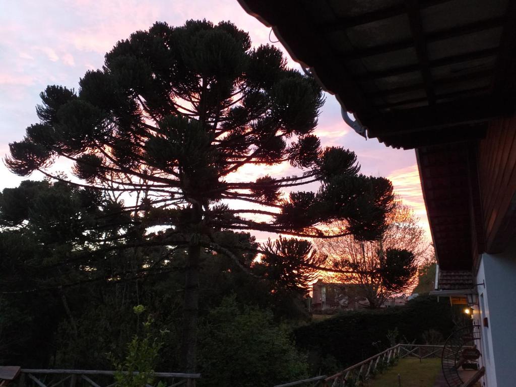  Piccolo Borgo Antico - Casina delle Rondini
