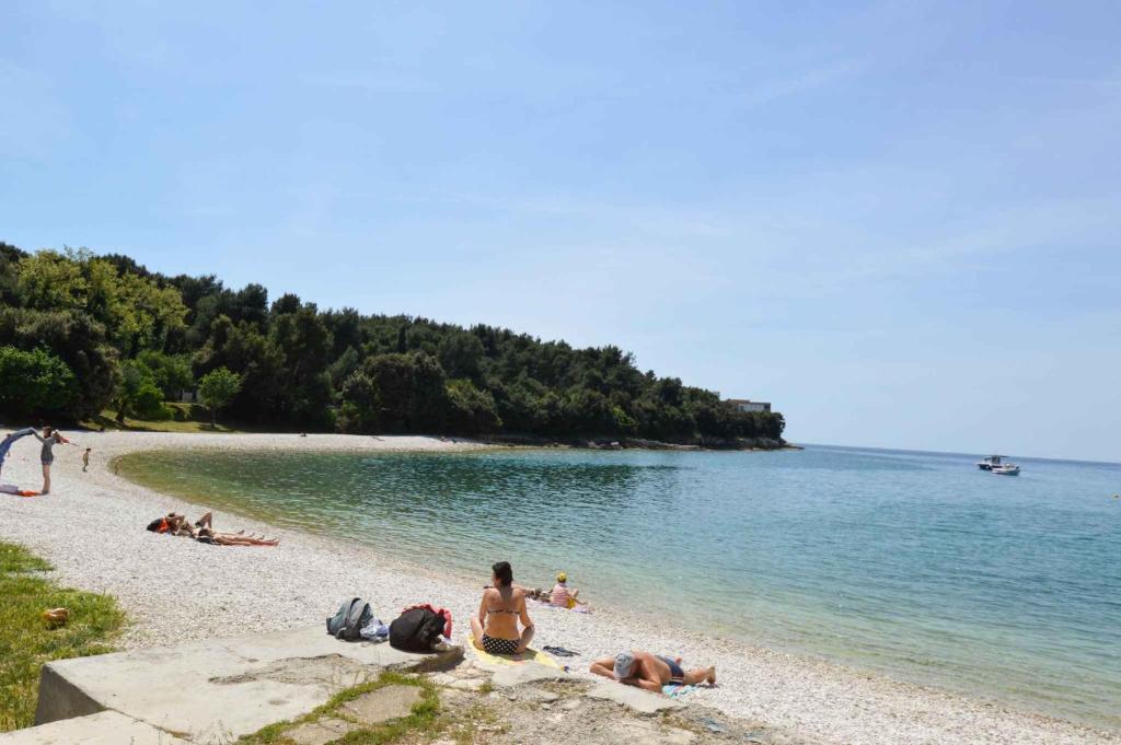 Príroda v okolí apartmánu