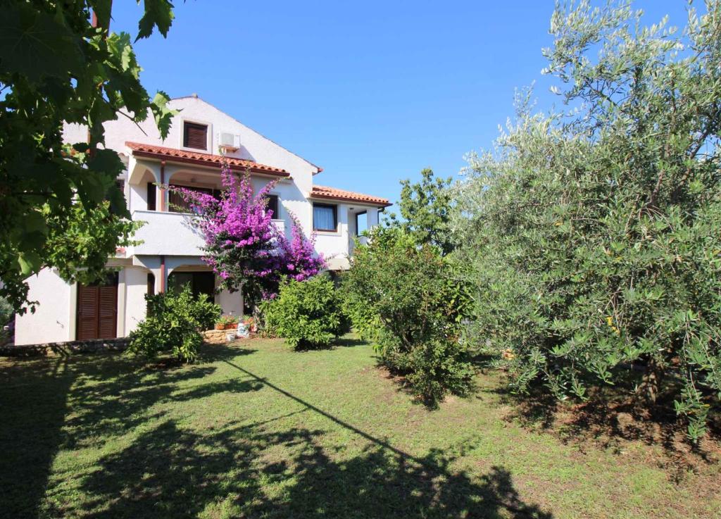 Zahrada ubytování Apartment in Porec/Istrien 10446