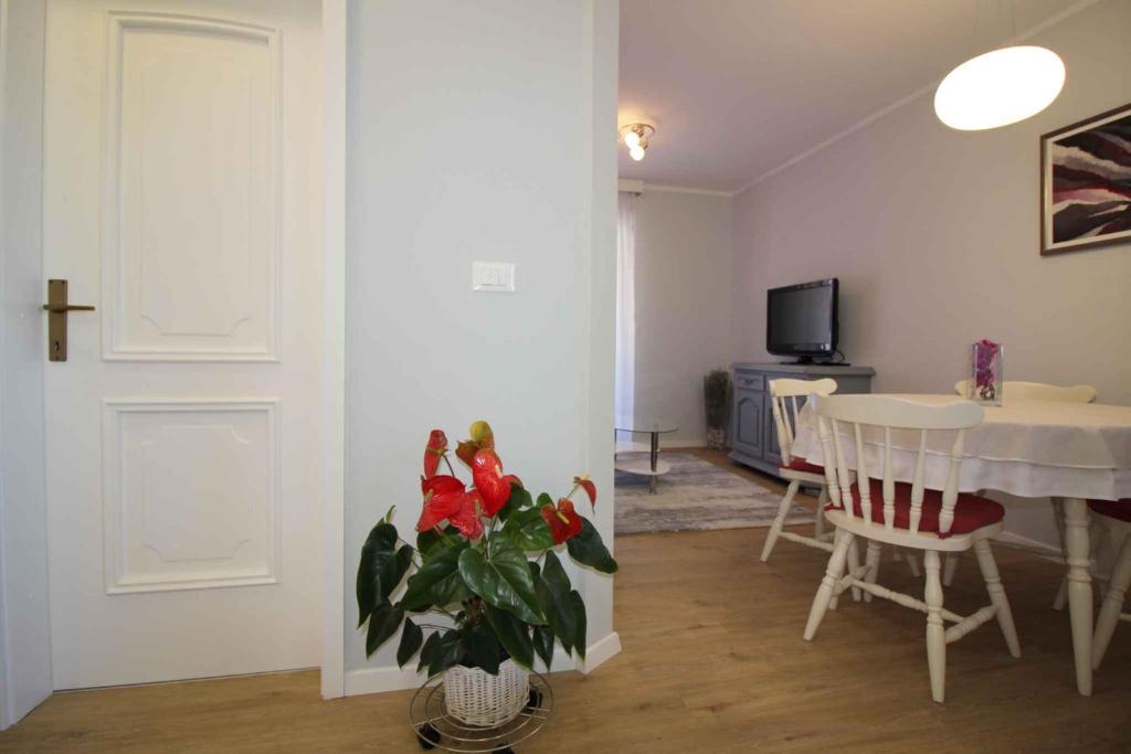 TV a/nebo společenská místnost v ubytování Apartment in Porec/Istrien 10446