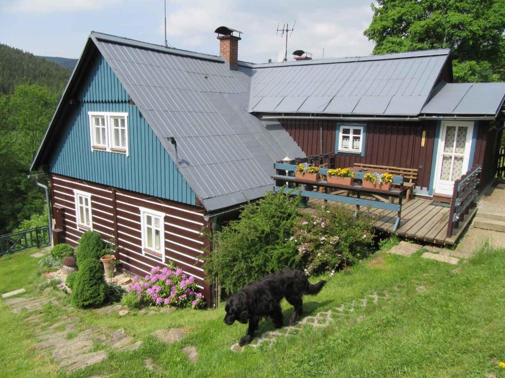 ヴェルカ・ウーパにあるApartment in Pec pod Snezkou 2100の犬の家