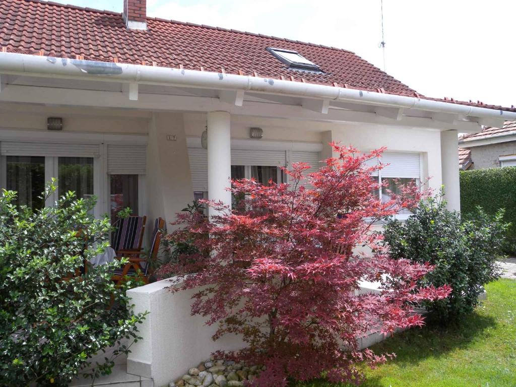 バラトンフェニヴェシュにあるApartments in Balatonfenyves/Balaton 18466の赤い木が目の前にある家