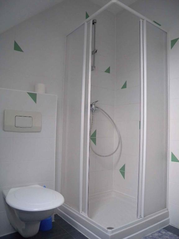 biała łazienka z prysznicem i toaletą w obiekcie Apartment in Frantiskovy Lazně 1609 w mieście Dolní Lomany