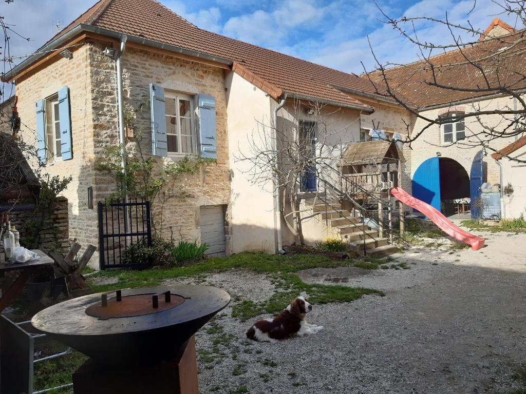 a dog laying on the ground in front of a house at Les Trois Croix in Santenay