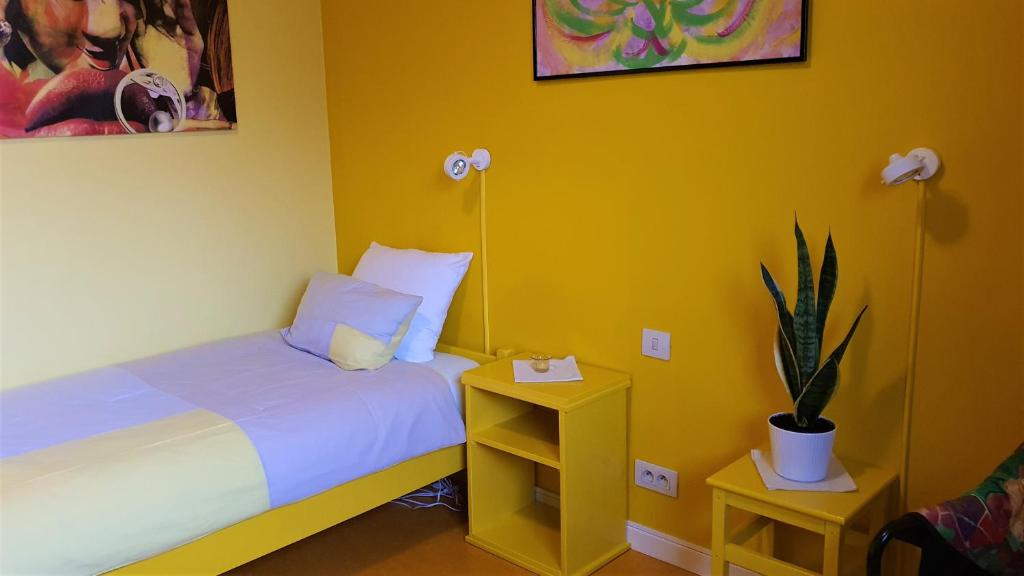 Hotel Amethist - Camera Singola Con Bagno