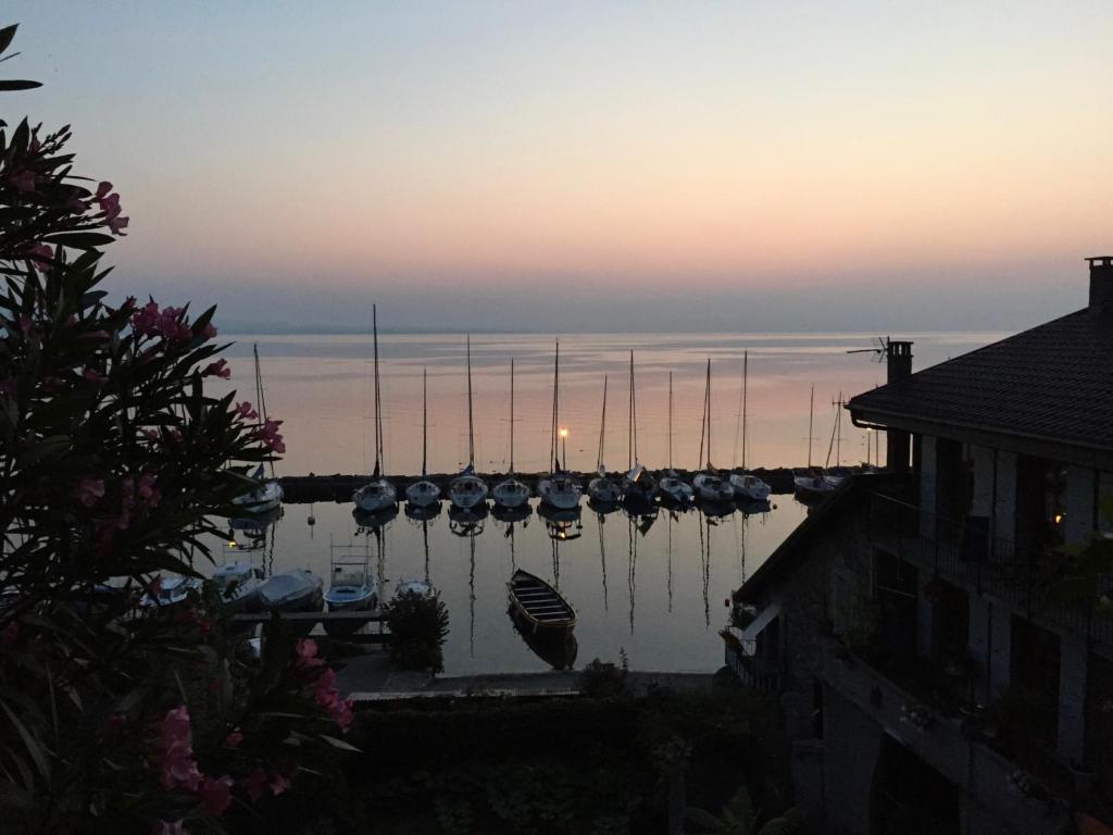 a group of boats in a marina at sunset at A Room with a View - Maisonnette dans bourg médiéval au bord du Lac Léman in Yvoire