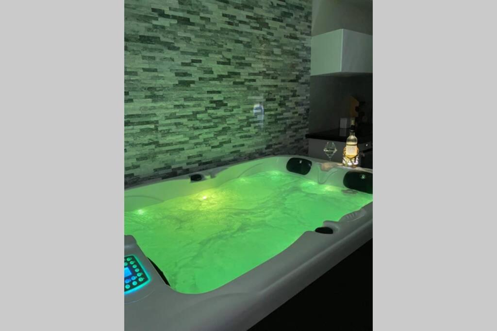Joli T2, jacuzzi, lit rond, jardin, parking privé, métro - One-Bedroom Apartment