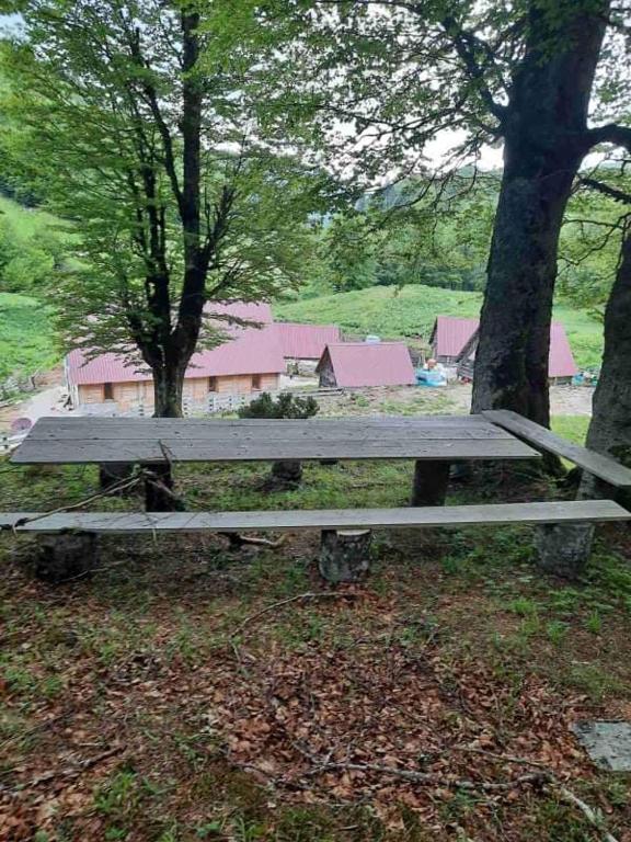 a park bench sitting in the grass next to two trees at Dulović - KATUN POTOCI in Kolašin