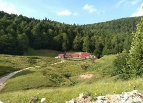 a house in the middle of a field with trees at Dulović - KATUN POTOCI in Kolašin