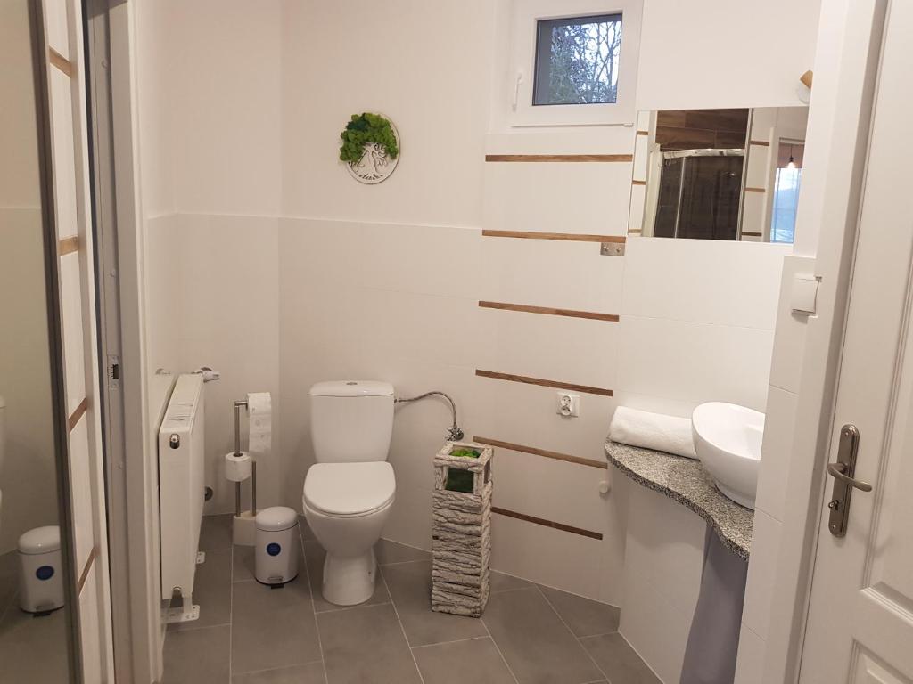 Koupelna v ubytování Apartamenty Paszkówka