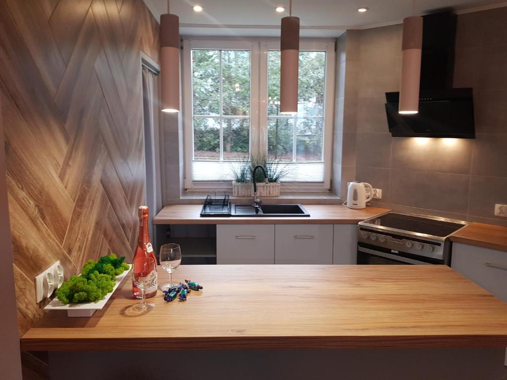 Kuchyň nebo kuchyňský kout v ubytování Apartamenty Paszkówka