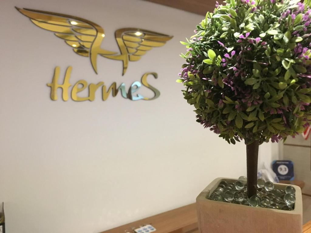 una planta en una caja delante de un cartel en Hotel Hermes, en Kas
