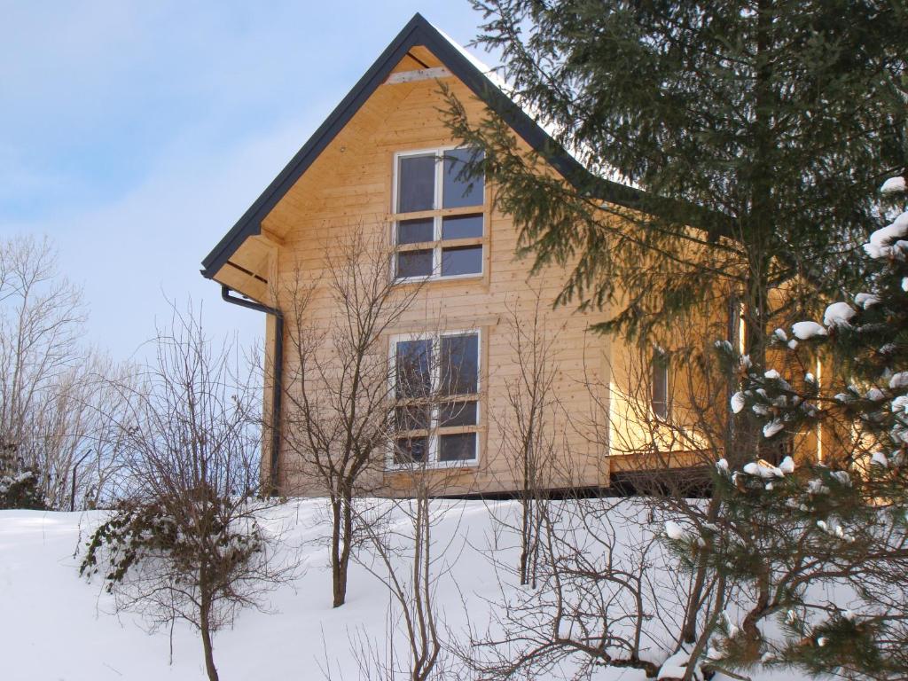 a house in the snow with trees in front of it at Domek nad stawem in Łabowa