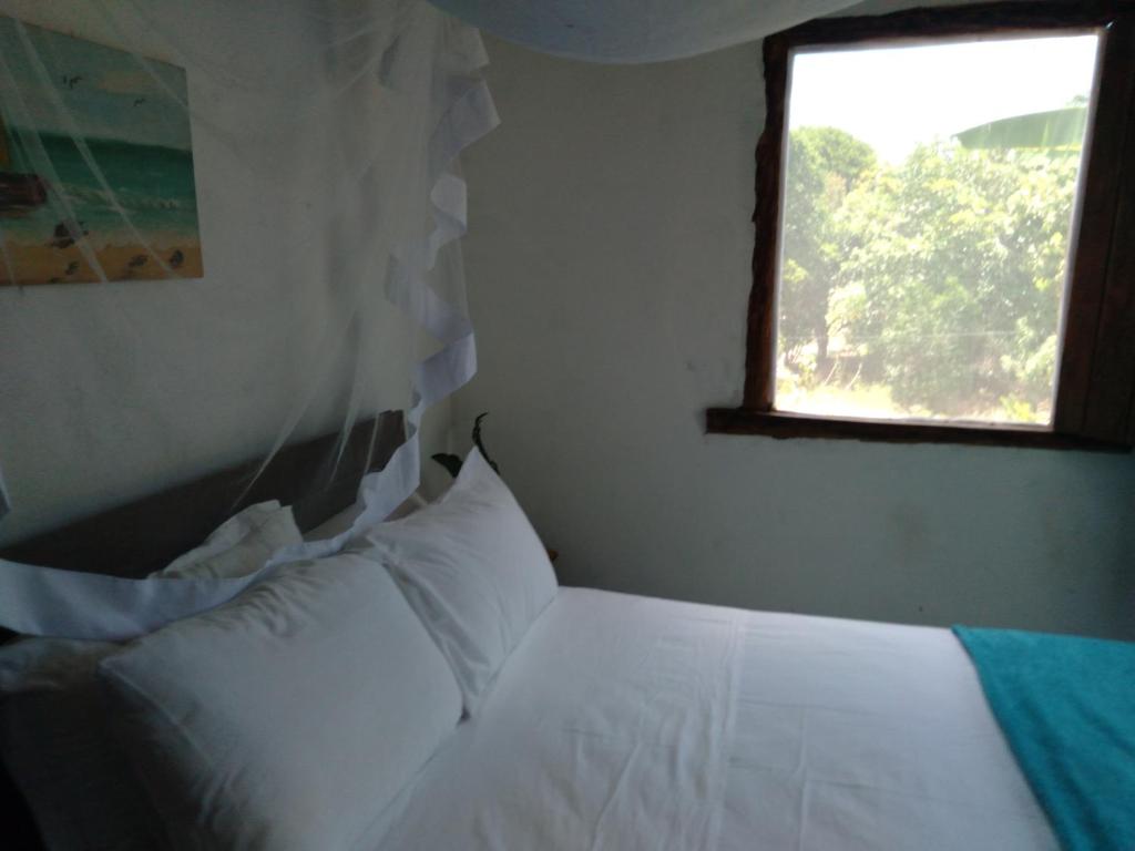  Britos HOUSE - Nova caraiva