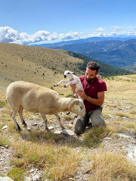 Άλλα ζώα σε αυτή η εξοχική κατοικία ή στη γύρω περιοχή